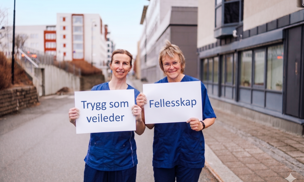 Trygg som veileder Bilde